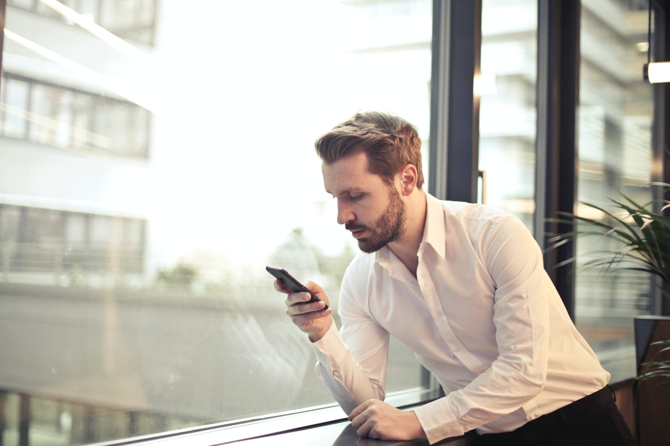 man searching through online business directories